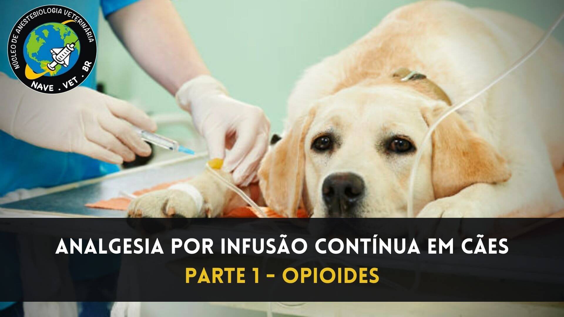 Analgesia por infusão contínua em cães – Opioides