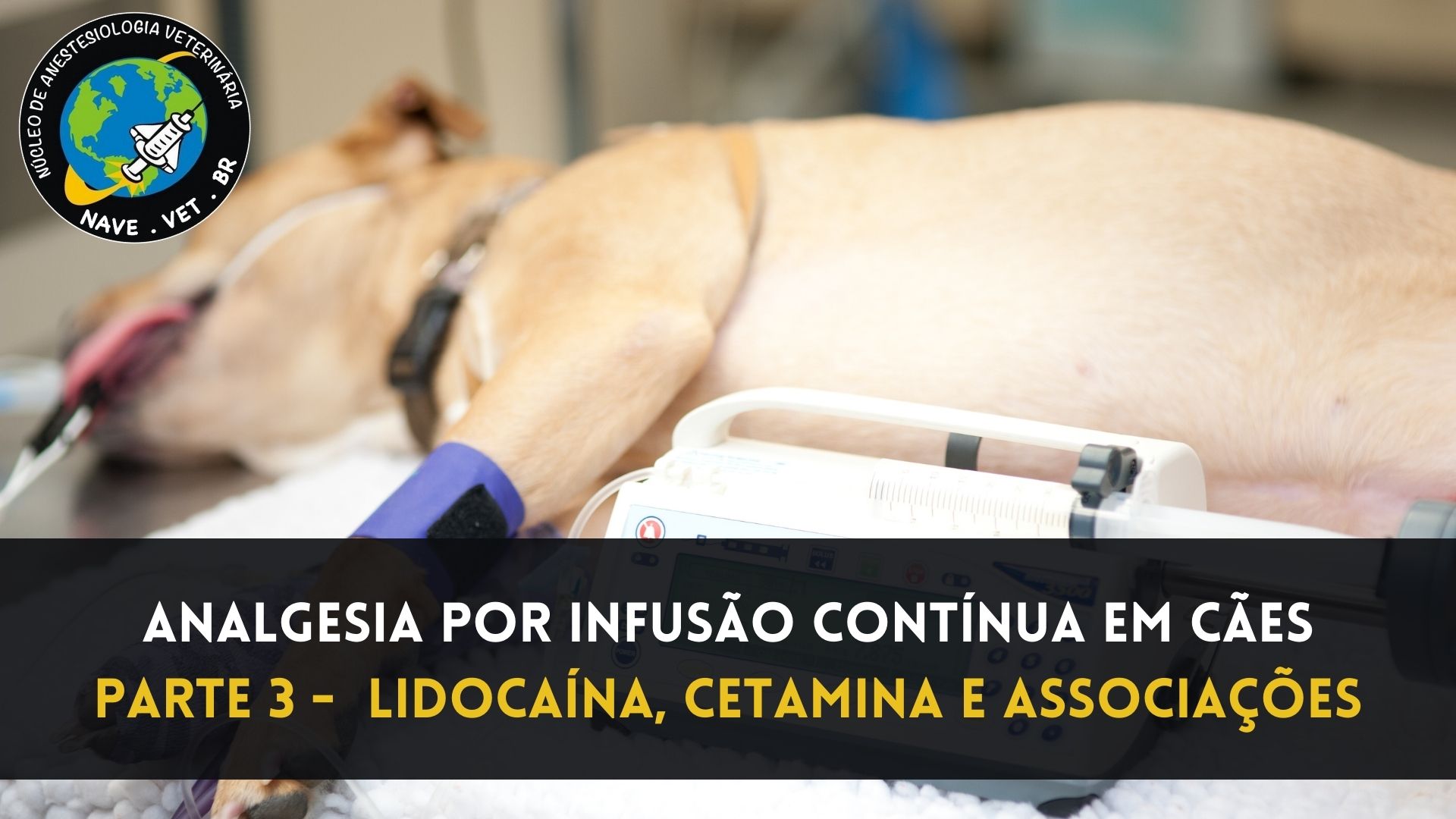 Analgesia por infusão contínua em cães – Lidocaína, Cetamina e Associações