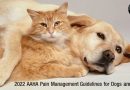 Guia de Manejo da Dor em Cães e Gatos – 2022 AAHA