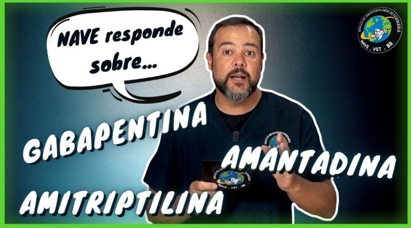 Amantadina, Amitriptilina e Gabapentina em Cães e Gatos – NAVE responde