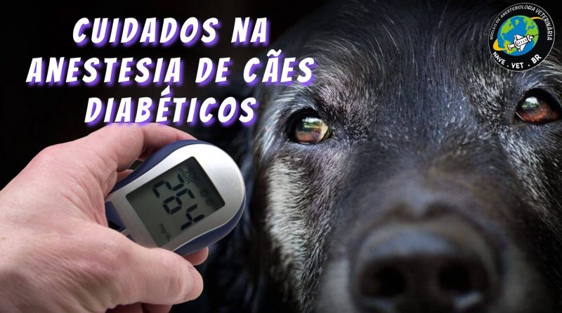 Cuidados na Anestesia de Cães Diabéticos