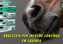 Analgesia por infusão contínua em equinos
