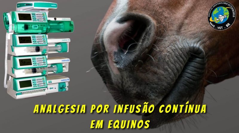 Analgesia por infusão contínua em equinos